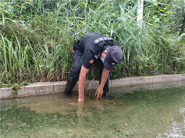 風(fēng)雨來襲 中土物業(yè)按時(shí)赴約…